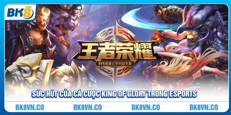 Sức hút của Cá cược King Of Glory trong eSports