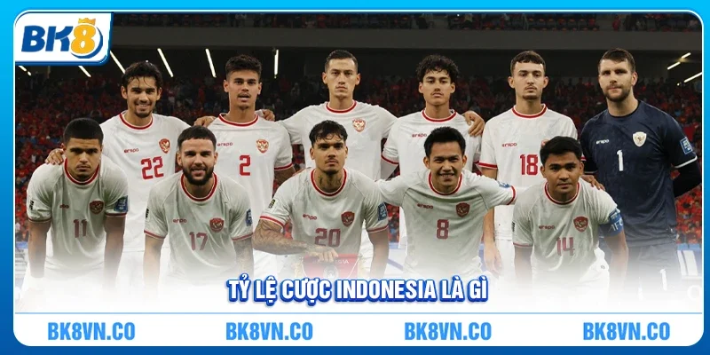 Khái niệm cơ bản về Tỷ lệ cược Indonesia là gì